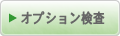 オプション検査